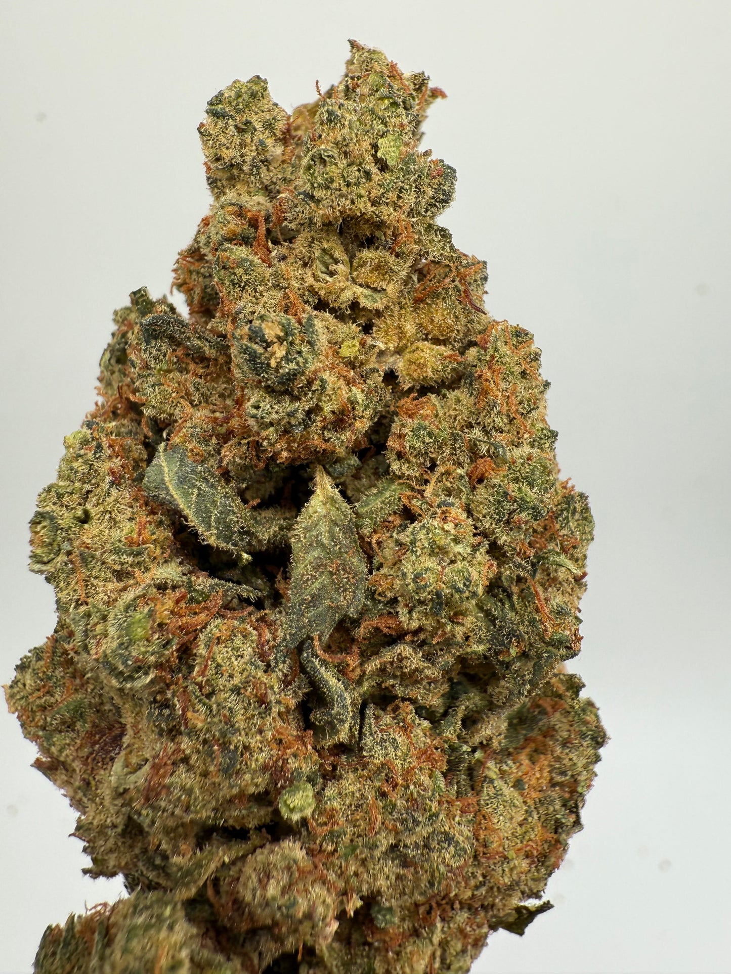 AMNESIA INDOOR OH-10 – Sustitutivo legal al HHC | Flor Premium Indoor