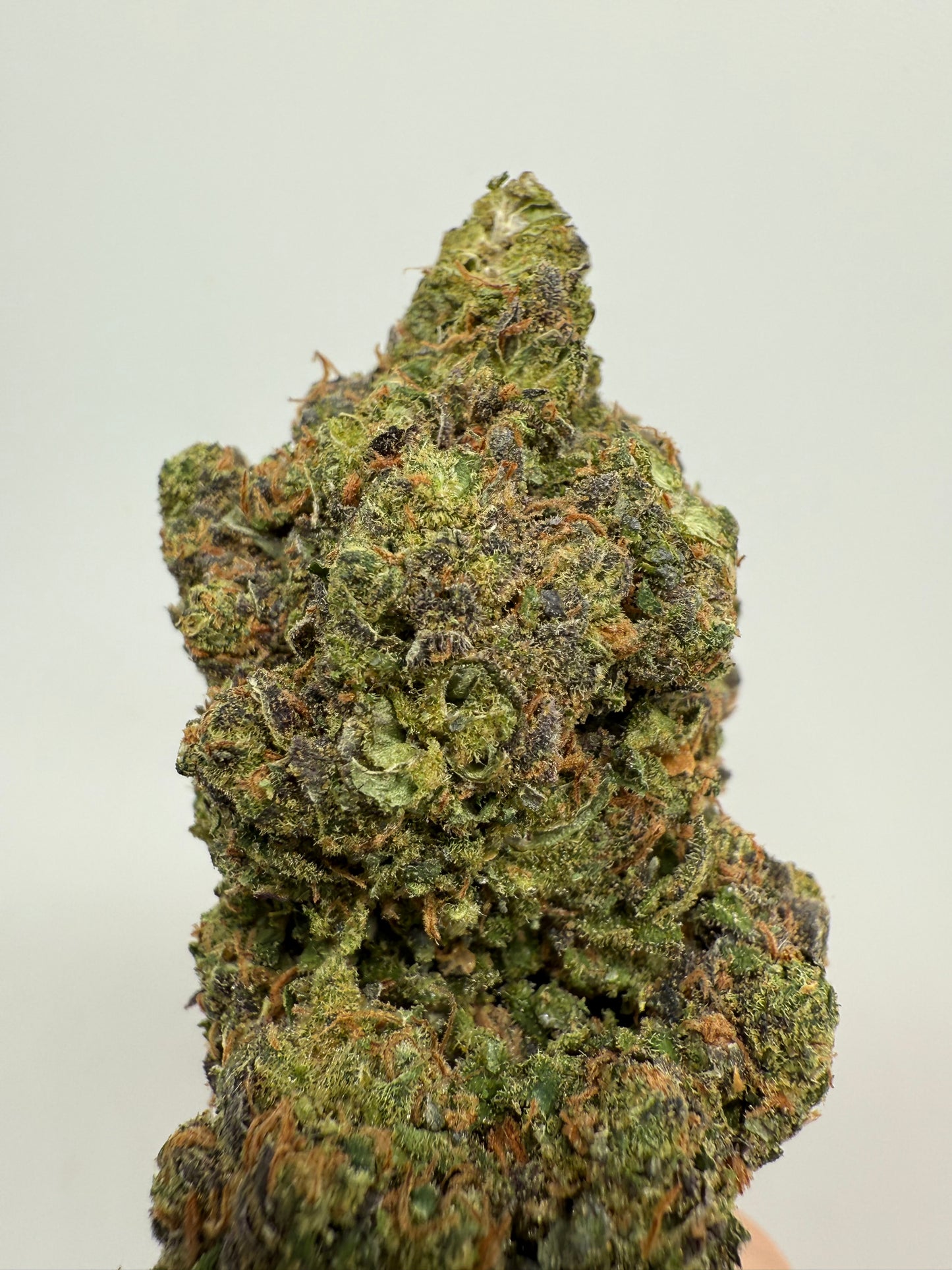 Gorilla Glue CBD (USA Genética) - Cogollos de CBD Alta Concentración