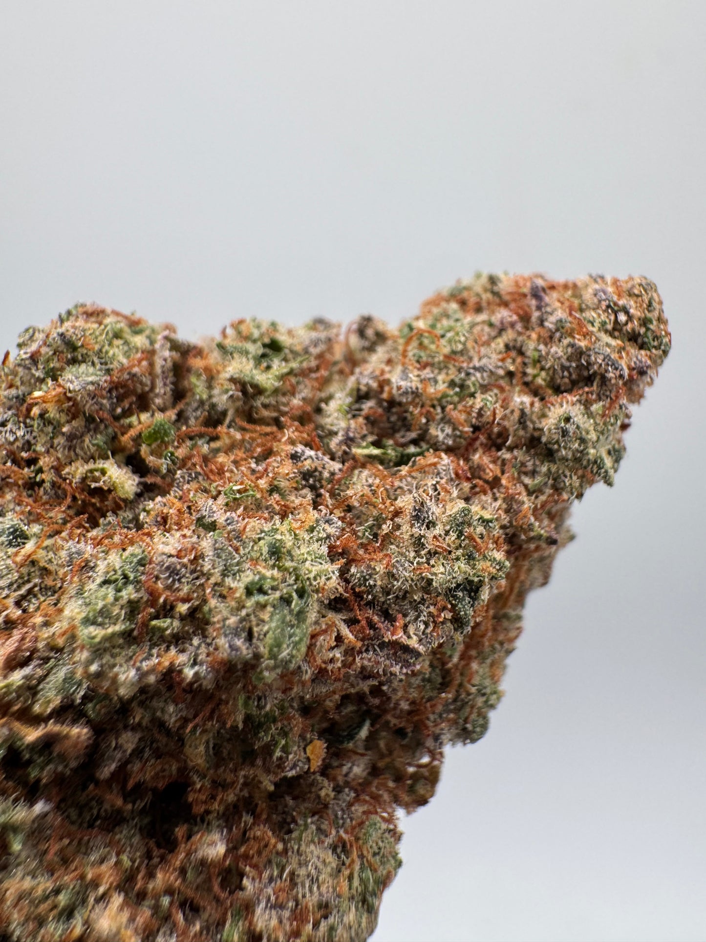 Cogollo de Flor Aromática de CBD al 32% · PLAYBOY HIDROPONICO