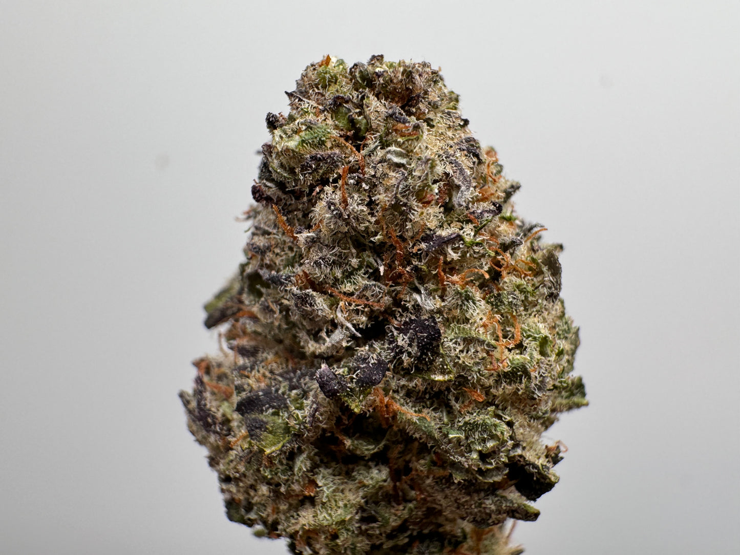 Cogollo de Flor Aromática de CBD al 16% · PURPLE HAZE